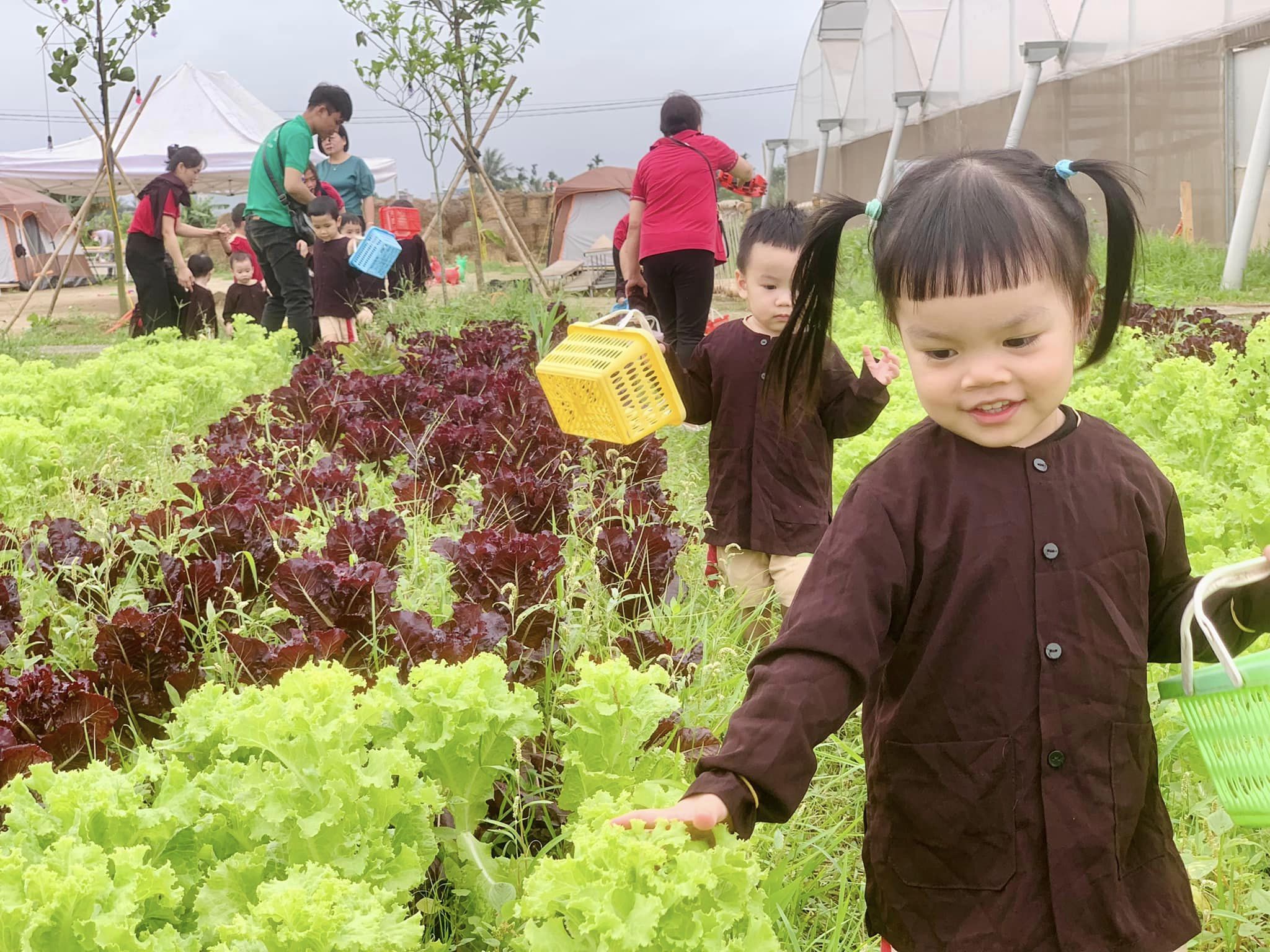 “Con tập làm nông dân”: Chuyến đi nhỏ - Niềm vui lớn