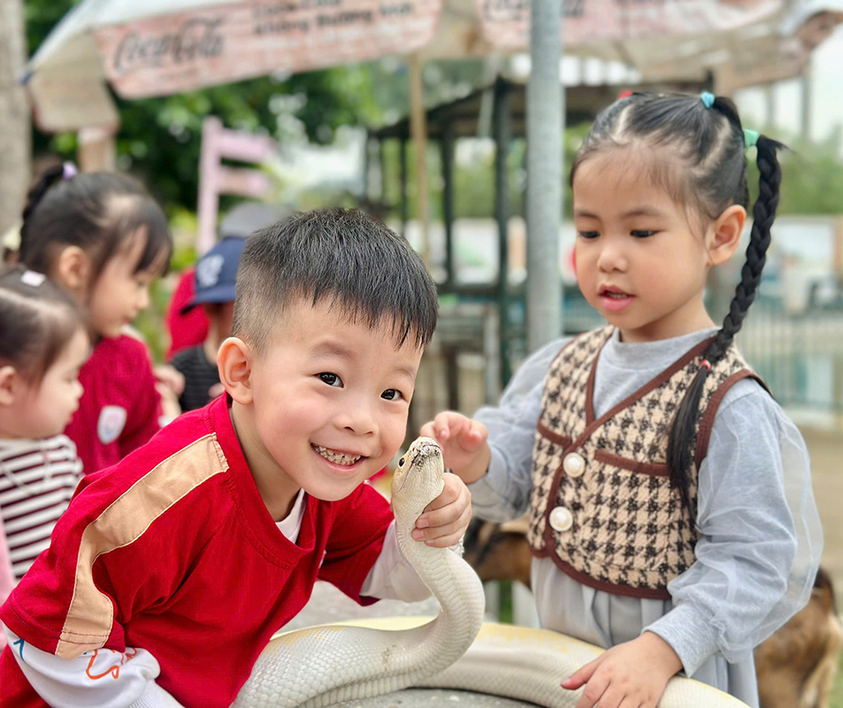 mam non hns_lamfarm 1