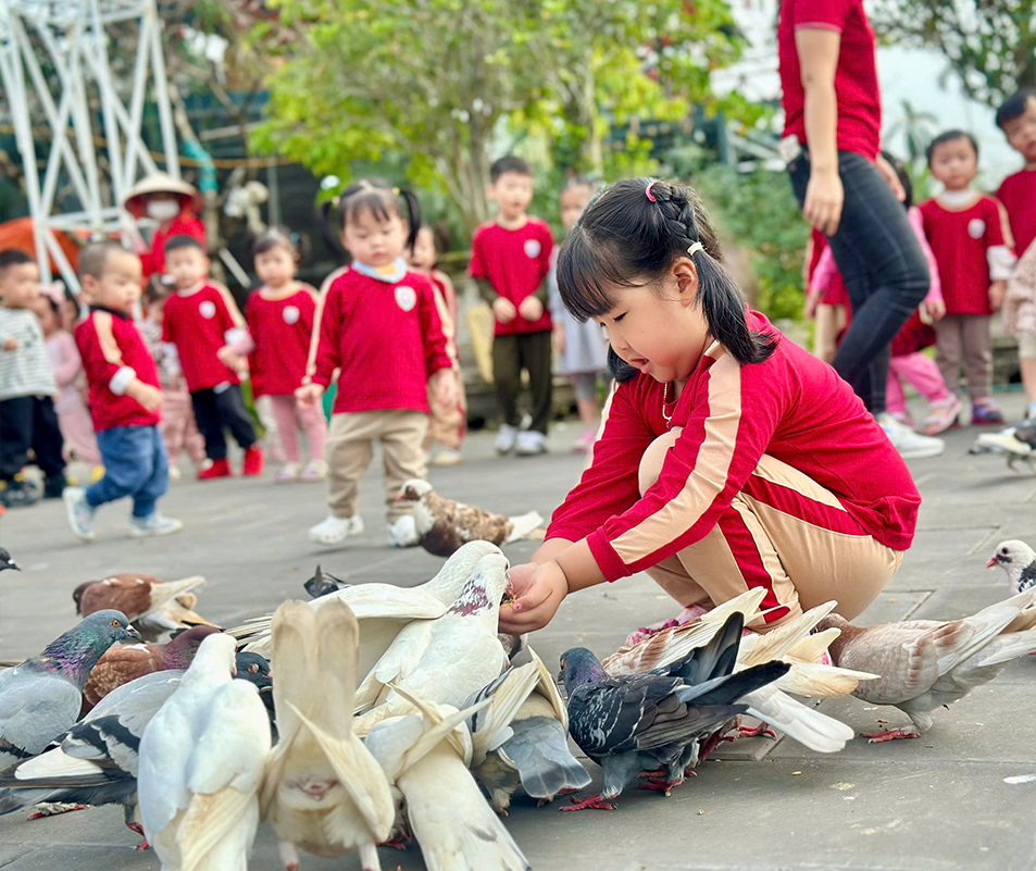 mam non hns_lamfarm 3