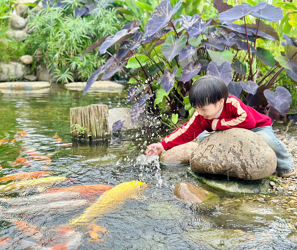 trai nghiem nong trai_hns