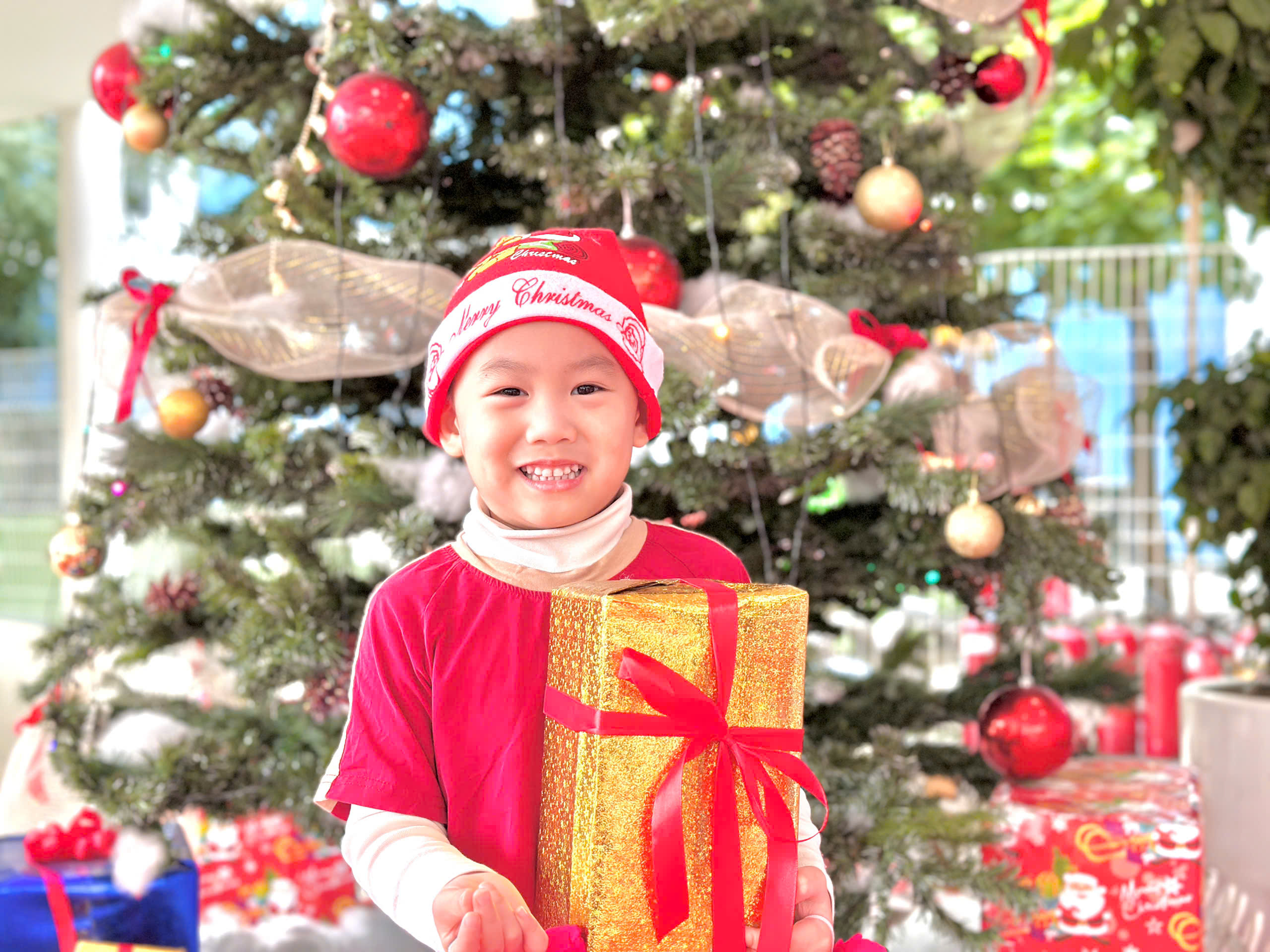 MERRY CHRISTMAS 2025 – MỘT GIÁNG SINH RỰC RỠ VÀ ĐẦY ẮP TIẾNG CƯỜI TẠI TRƯỜNG MẦM NON HỮU NGHỊ