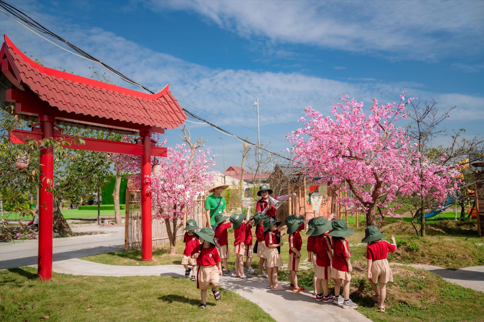 SAKURA - LỄ HỘI HOA ANH ĐÀO