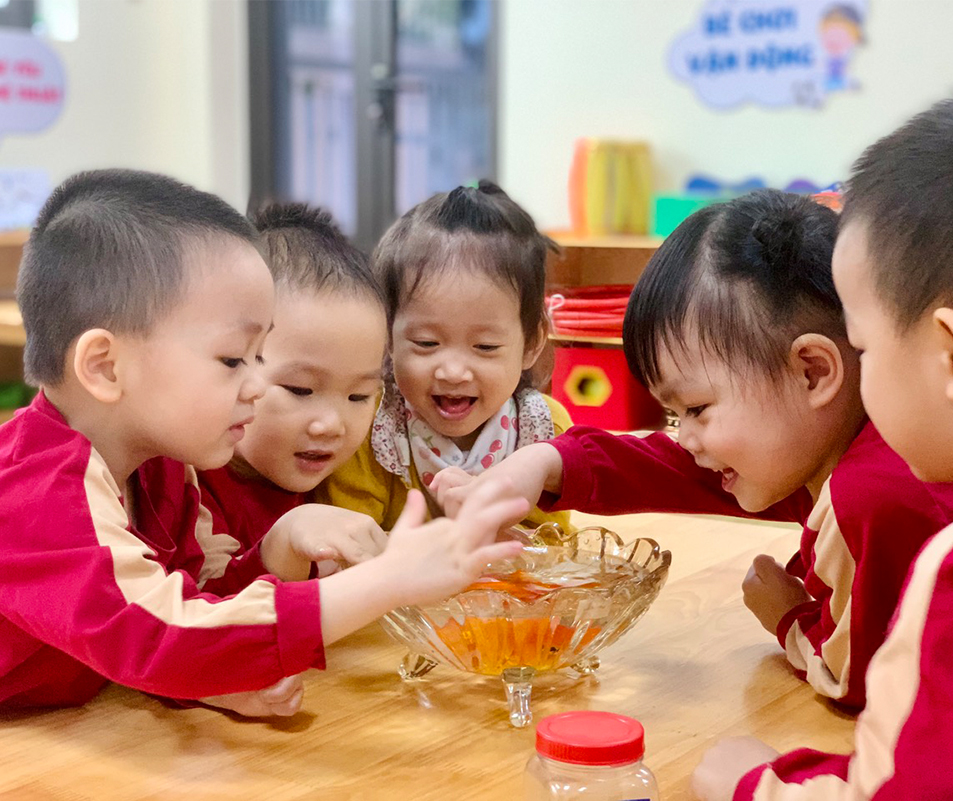 Thông báo tuyển sinh năm học 2024-2025