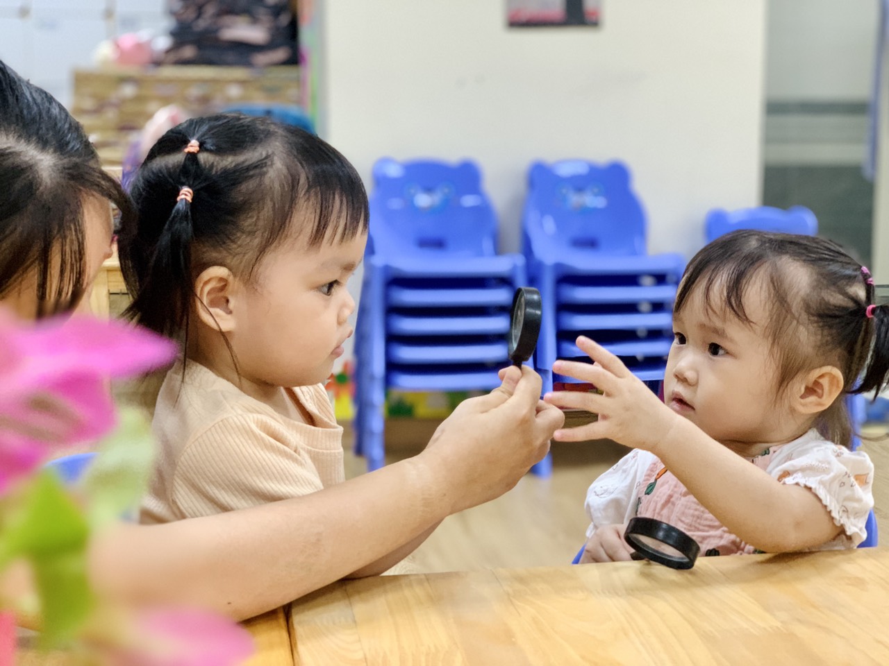 Chương trình giáo dục kỹ năng